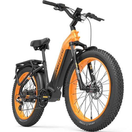 2000W Dual Motor Step Thru E-Bike