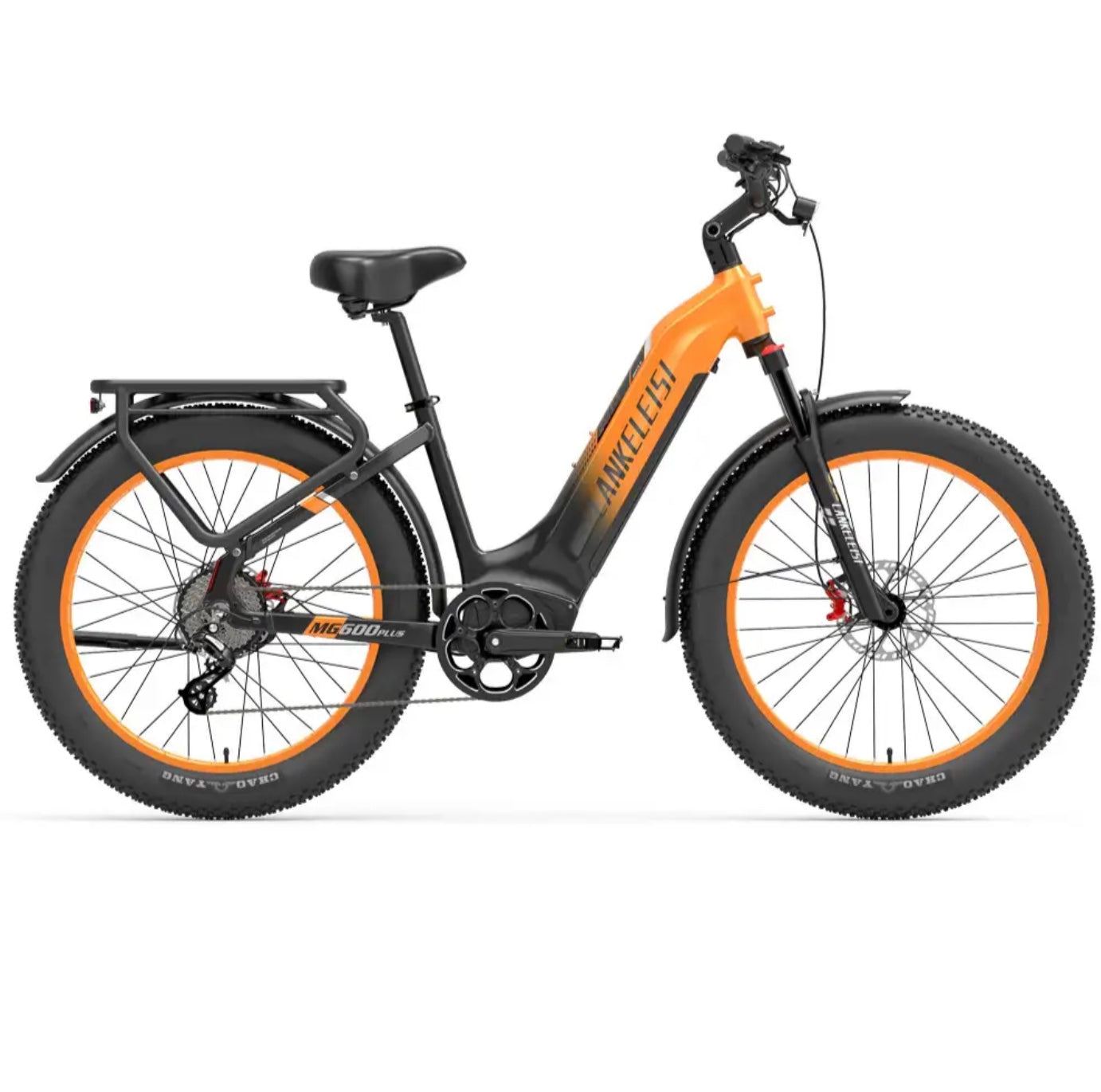 2000W Dual Motor Step Thru E-Bike