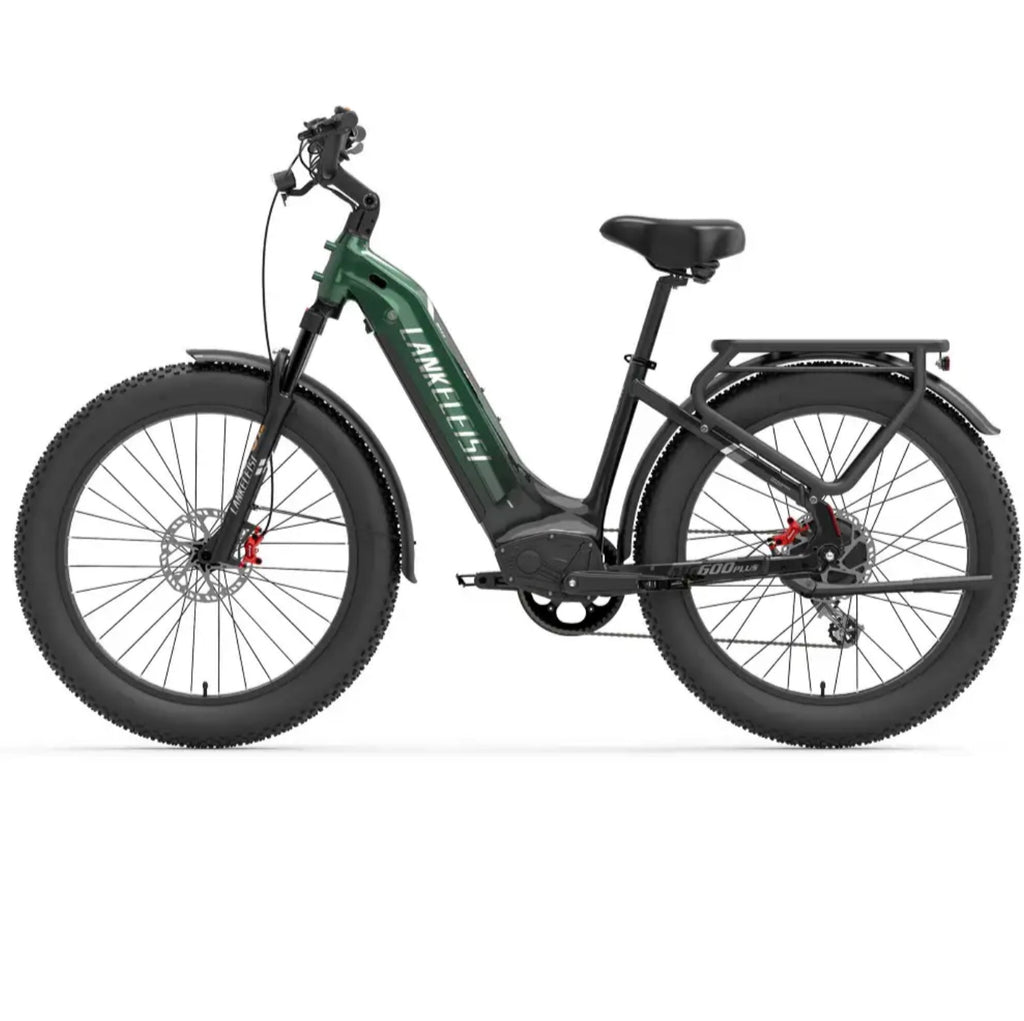 2000W Dual Motor Step Thru E-Bike