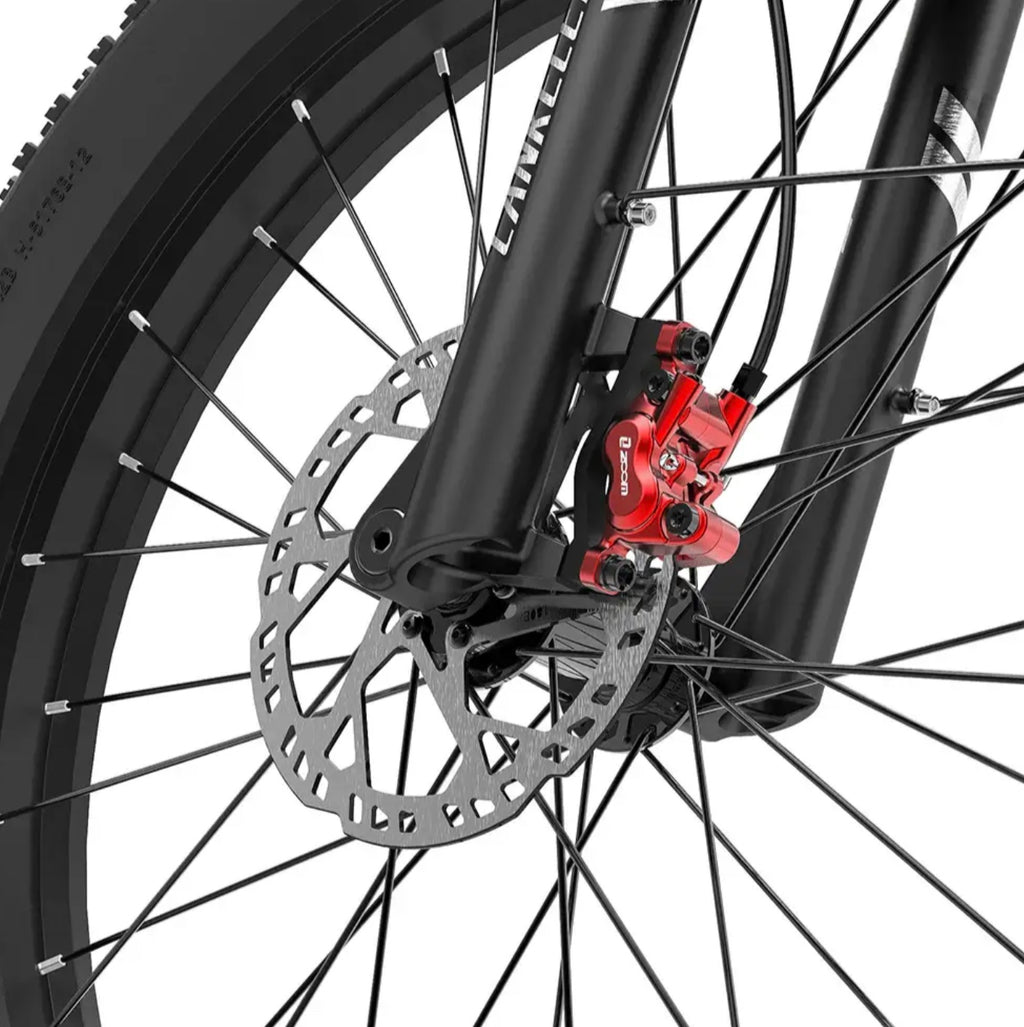 2000W Dual Motor Step Thru E-Bike